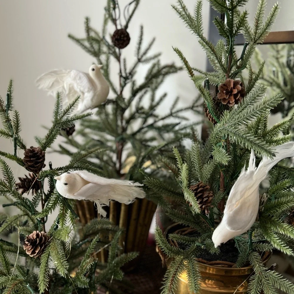 Lot 3 Vintage front Pottery Barn Doves Birds Feathered Christmas